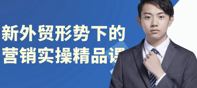 新外贸形势下的营销实操精品课（6.1G）