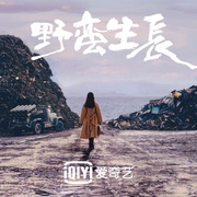 [爱情/剧情] 风吹半夏  [赵丽颖/欧豪][高清下载]