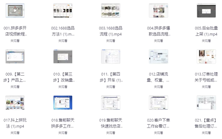 拼多多精细化运营店铺0-1，从零起步到爆单详细教程（403.5M）