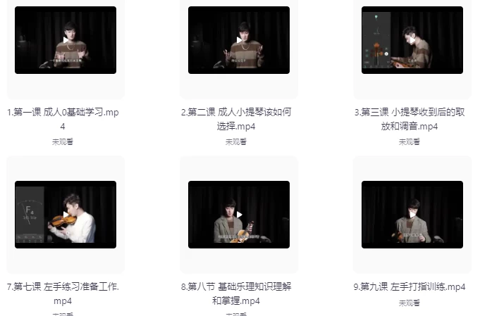 [乐器/小提琴] 0基础小提琴保姆级教学（16.8G）