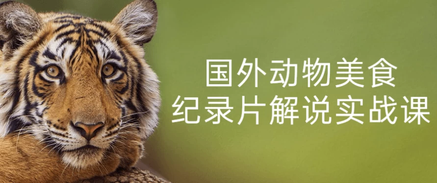 [动物/纪录片] 国外动物美食纪录片解说实战课（2.6G）