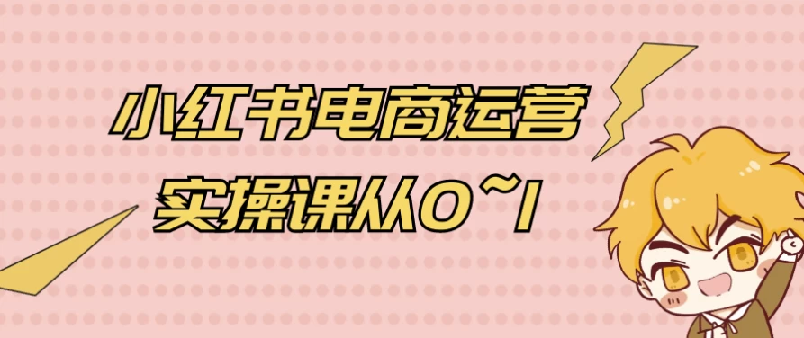 [小红书/电商] 小红书电商运营实操课从0~1（1.0G）