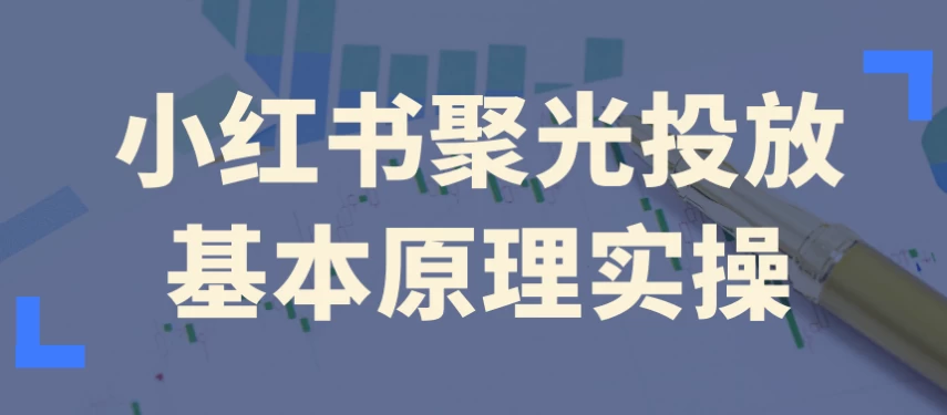 [小红书] 小红书聚光投放基本原理实操（1.1G）