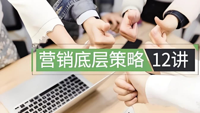 [营销] 营销底层策略12讲（1.9G）