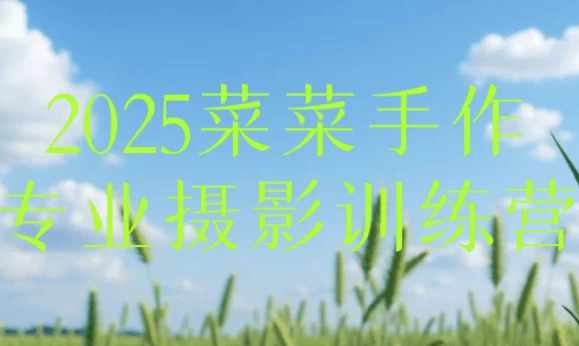 [拍摄/摄影] 2025菜菜手作专业摄影训练营（1.2G）