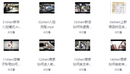 [SHEIN/希音] SHEIN希音全流程运营实战课（558.6M）