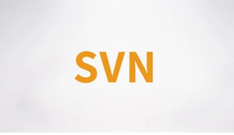 [SVN] SVN视频课程 – 带源码课件（244.5M）