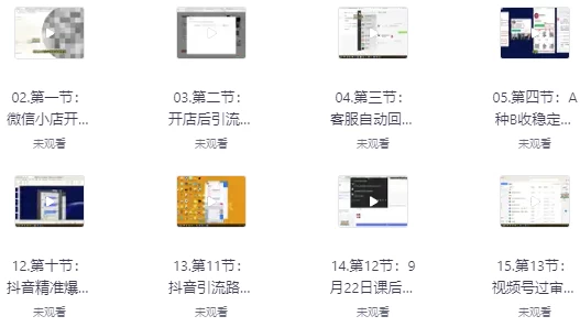 [健康/私域] 大健康私域打粉课（3.4G）