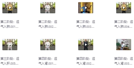 [养生] 陆天龙极龄呼吸法21天养生营（3.0G）