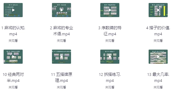 [麻将] 麻将高手快速提升胜率教学（60.5G）
