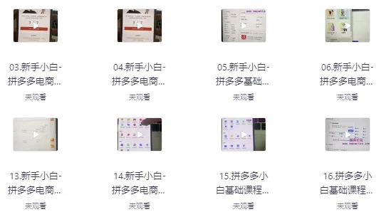 [拼多多/电商] 拼多多电商课程，新手纯小白必看，零基础教学快速入门（623.3M）