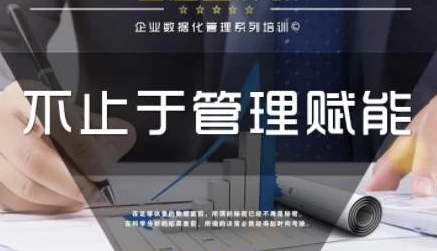 [企业/企业管理] 企业管理数据分析全体系落地培训（13.2G）