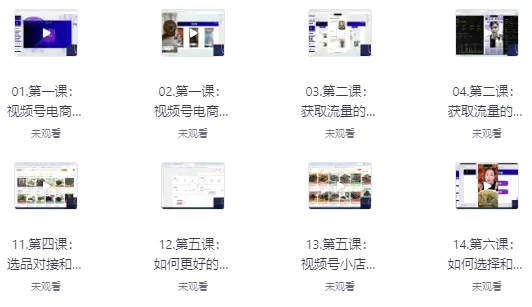 [微信/直播] 视频号微信豆直播打品陪跑营（十三期）（1.8G）