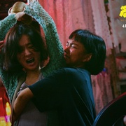 [犯罪/剧情] 向阳·花  [赵丽颖/兰西雅][高清下载]