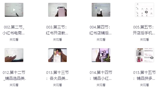 [小红书/电商] 小红书高级电商课程，新手小白实操教学（3.3G）