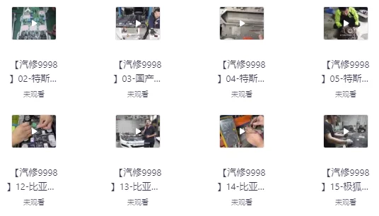 [新能源/汽车] 新能源汽车三电实战维修班（8.9G）