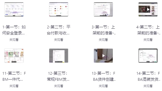 [亚马逊/电商] 亚马逊保姆级全流程实操教程（1.0G）