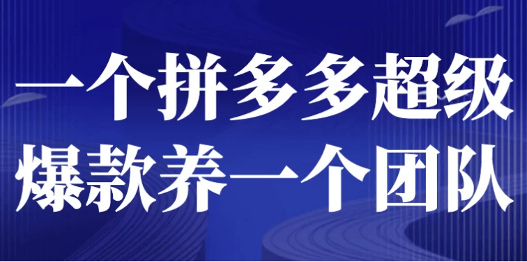 [拼多多/电商] 一个拼多多超级爆款养一个团队（854.4M）