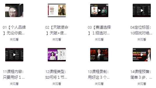 [IP/品牌] 引爆绝活IP训练营，14天引爆绝活，放大你的一技之长（3.6G）