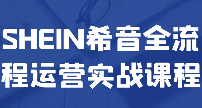 [SHEIN/希音] SHEIN希音全流程运营实战课程（1.0G）