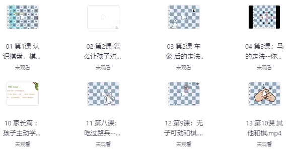 [国际象棋] 国际象棋零基础教学（1.7G）