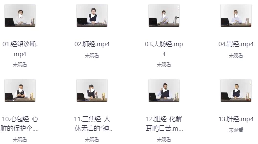 [中医/医学] 经络诊断与处方十二经络循（4.1G）