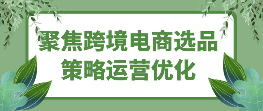 [电商/跨境电商] 聚焦跨境电商选品策略运营优化（1.7G）