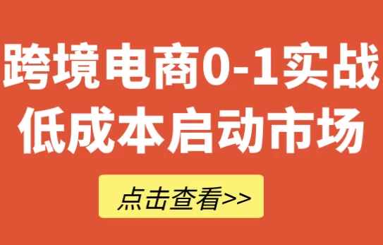 [电商/跨境电商] 跨境电商0-1实战低成本启动市场（1.1G）