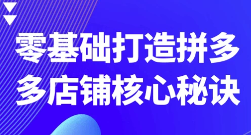 [店铺/拼多多] 零基础打造拼多多店铺核心秘诀（21.8G）