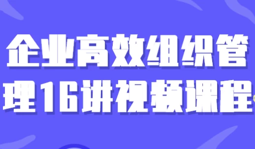[企业/战略] 企业高效组织管理16讲视频课程（4.7G）