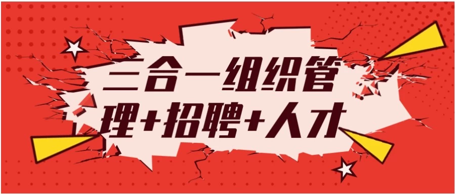 [人才/招聘] 三合一组织管理+招聘+人才（9.9G）