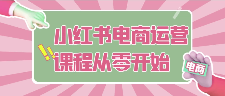 [小红书/电商] 小红书电商运营课程从零开始（3.9G）