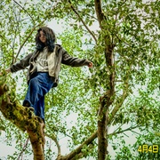 [剧情] 阳光照耀青春里  [肖央/春夏][高清下载]