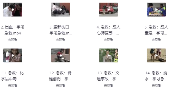 [急救] 一分钟，快速学习急救课程（721.3M）