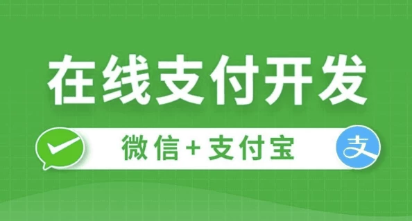 [开发/微信支付] 在线支付开发 - 带源码课件（3.3G）