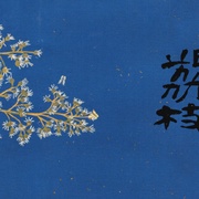 [古装/剧情] 长安的荔枝  [雷佳音/岳云鹏][高清下载]