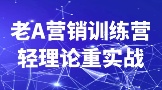 [营销] 老A营销训练营轻理论重实战（12.4G）