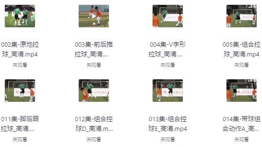 [足球/运动] 校园足球教学视频教程（7.3G）