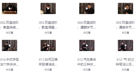 [国学] 14天养元筑基进阶训练营（3.0G）