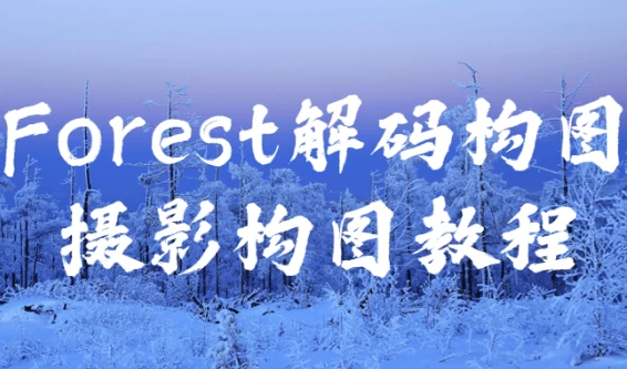 [拍摄/摄影] Forest解码构图摄影构图教程（647.9M）