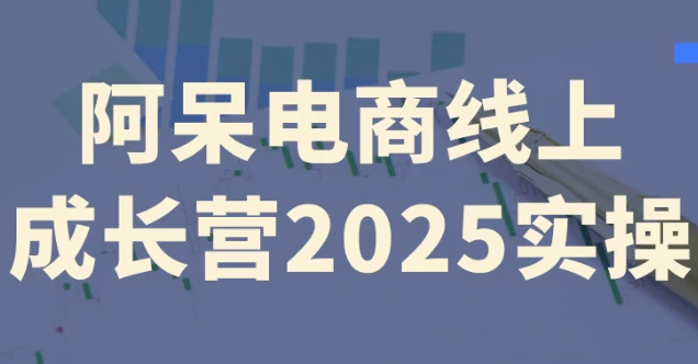 [电商] 阿呆电商线上成长营2025实操（8.6G）