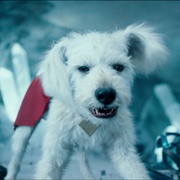 [动作/科幻] 超人 Superman  [大卫·科伦斯韦/瑞秋·布罗斯纳安][高清下载]