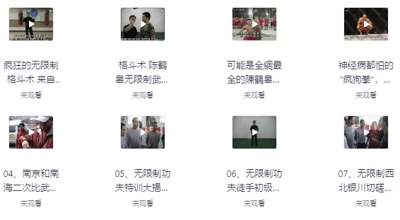 [格斗/武术] 陈鹤皋“无限制格斗”实战训练视频（2.1G）