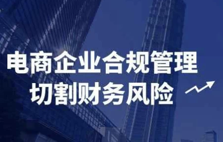 [电商/管理] 电商企业合规管理切割财务风险（1.8G）