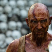 [恐怖/科幻] 惊变28年 28 Years Later  [朱迪·科默/阿尔菲·威廉姆斯][高清下载]