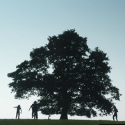 [恐怖/科幻] 惊变28年 28 Years Later  [朱迪·科默/阿尔菲·威廉姆斯][高清下载]