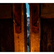 [恐怖/科幻] 惊变28年 28 Years Later  [朱迪·科默/阿尔菲·威廉姆斯][高清下载]