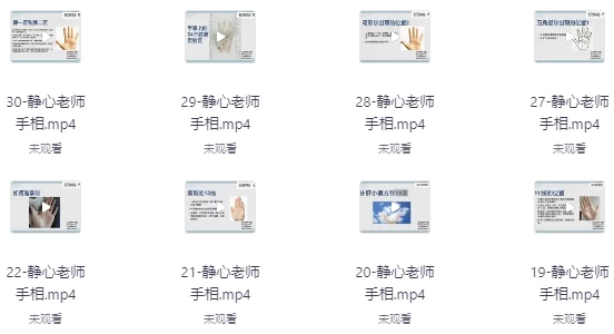 [健康/手部] 静心老师观手看健康课程（1.2G）
