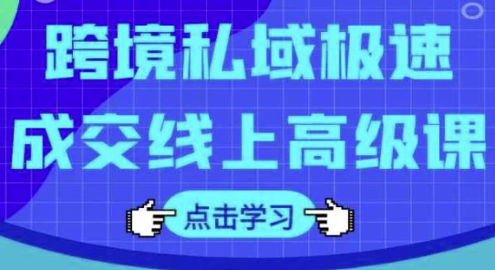 [私域/跨境电商] 跨境私域极速成交线上高级课（4.4G）