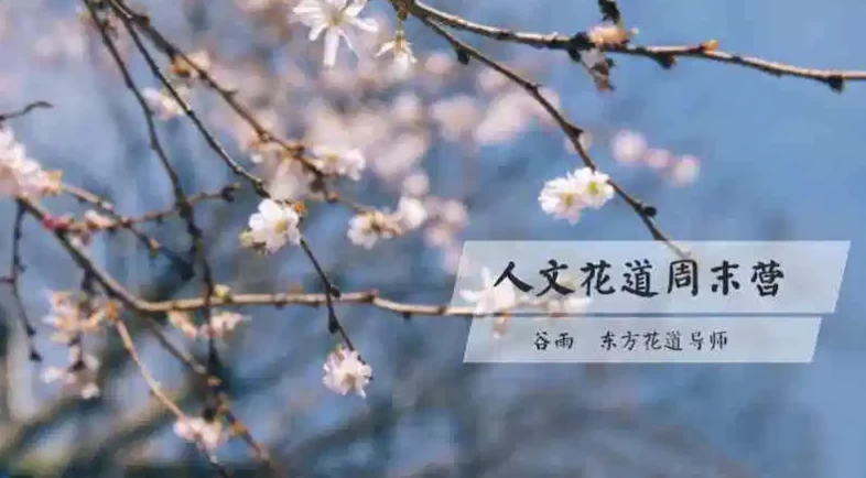 [插花] 人文花道美学营（2.2G）